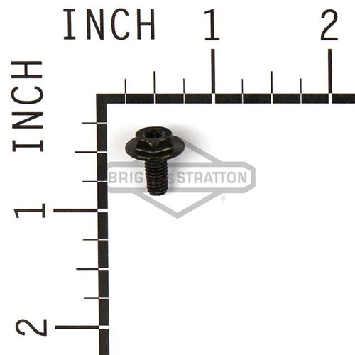 699854 Screw Briggs and Stratton Genuine OEM Part
