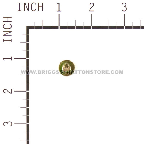 699481 Screw Briggs and Stratton Genuine OEM Part