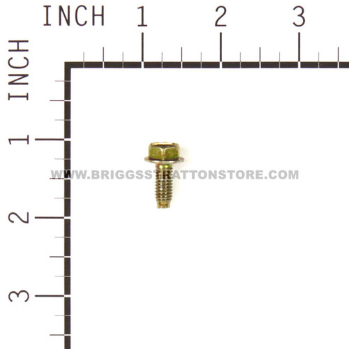699481 Screw Briggs and Stratton Genuine OEM Part