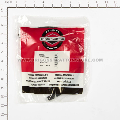 595824 Fuel Filter & Hose Kit
