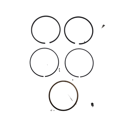 591976 Ring Set Briggs and Stratton Genuine OEM Part
